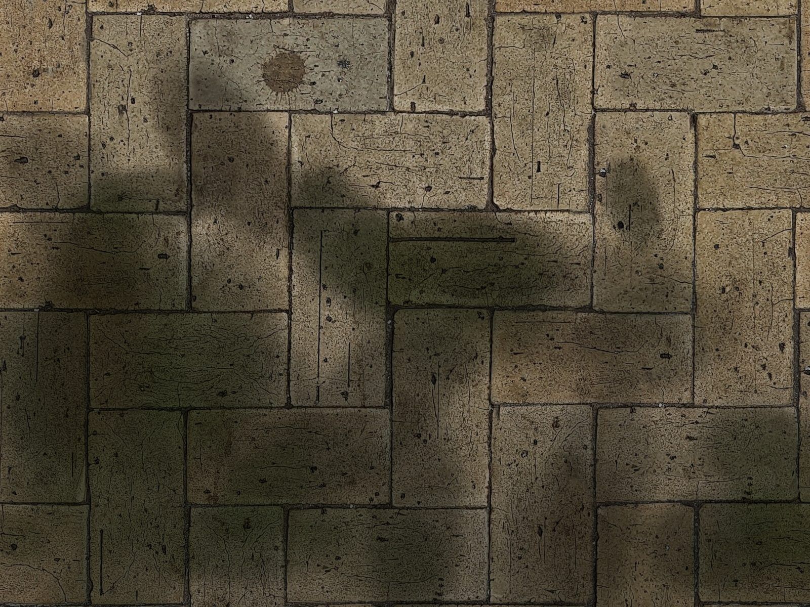 Paver patio — clean & re-sand — before cleaning